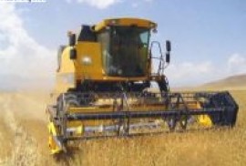 Թուրքիայի գյուղատնտեսական արտադրությունն աճել է նախորդ տարվա համեմատ 