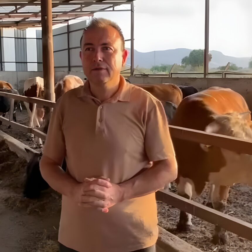 Արտակարգ դեպք Թուրքիայում. ցլի հարձակման հետևանքով մարդ է մահացել