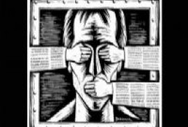  «Freedom House». Թուրքիայում ժողովրդավարությունը ճգնաժամի մեջ է 