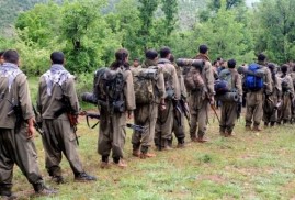 Պատգամավորը հայտնել է, որ PKK-ն ընտրությունների նախաշեմին կդադարեցնի իր գործողությունները