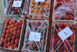 Թուրքիան սկսում է դեղձ արտահանել Ռուսաստան