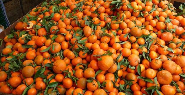 Ուկրաինան հետ է ուղարկել 29 տոննա թուրքական մանդարինը