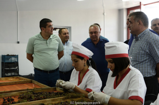 Martakert’te kuruyemiş fabrikası, Matağis’te ise tatil bölgesi açıldı