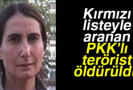 Թուրքիայում սպանվել է PKK ազդեցիկ անդամներից մեկը