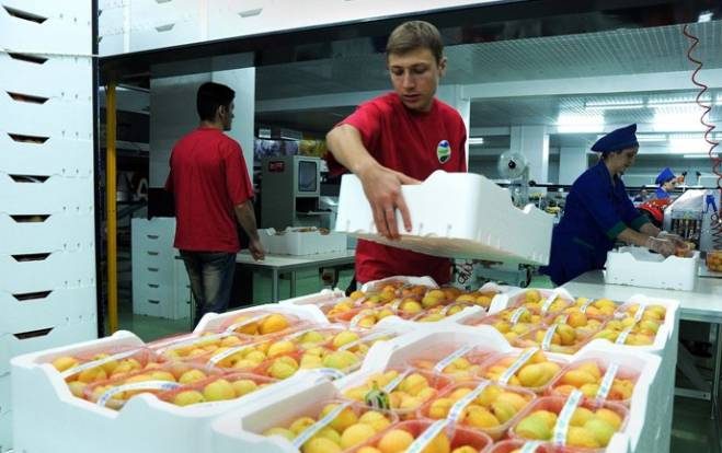 Ermenistan'dan Rusya'ya meyve ihracatı en az iki kat arttı